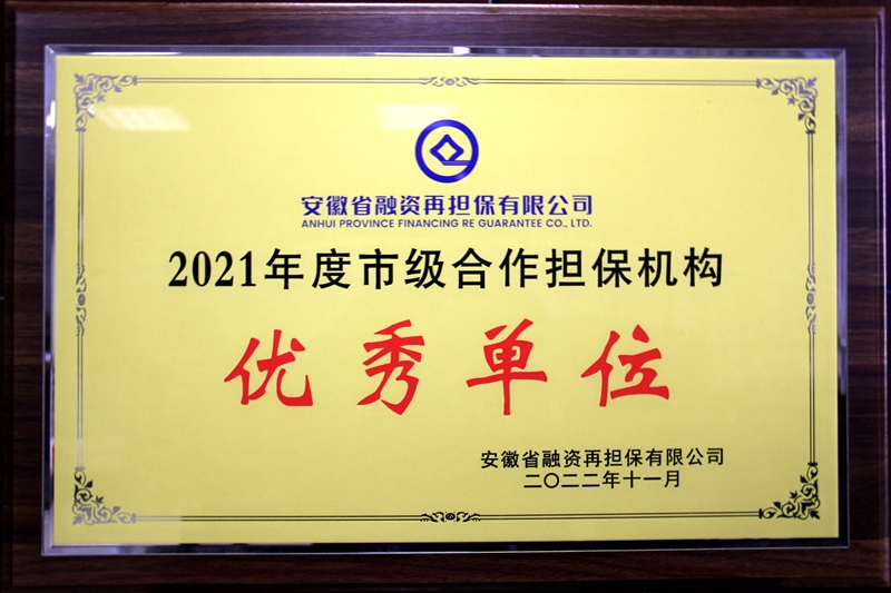 2021年度市級合作擔(dān)保機(jī)構(gòu)優(yōu)秀單位